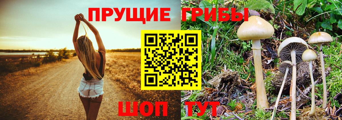 Псилоцибиновые грибы Magic Shrooms Абинск