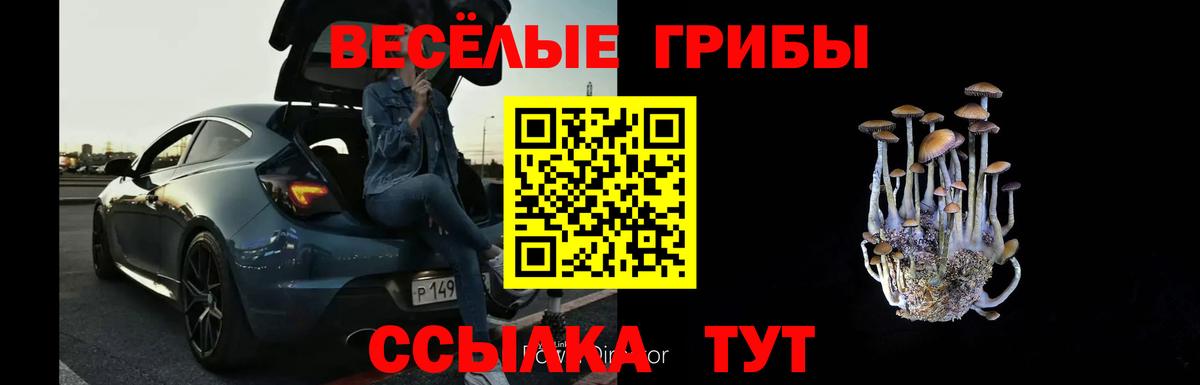 Абинск  Галлюциногенные грибы GOLDEN TEACHER  Вход с VPN 